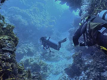 Scuba Diver Training